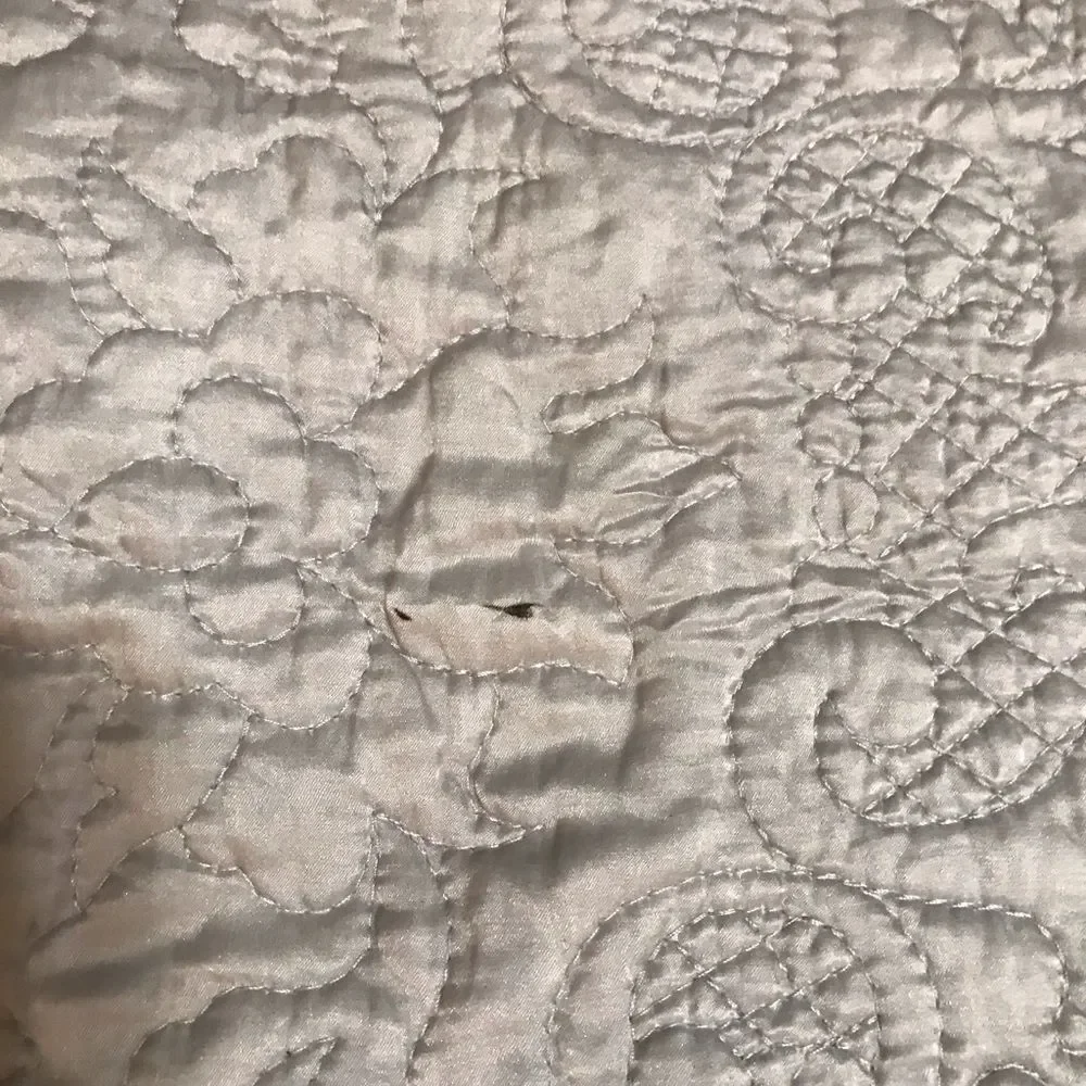 2 Pottery Barn Monique Lhuillier Shams